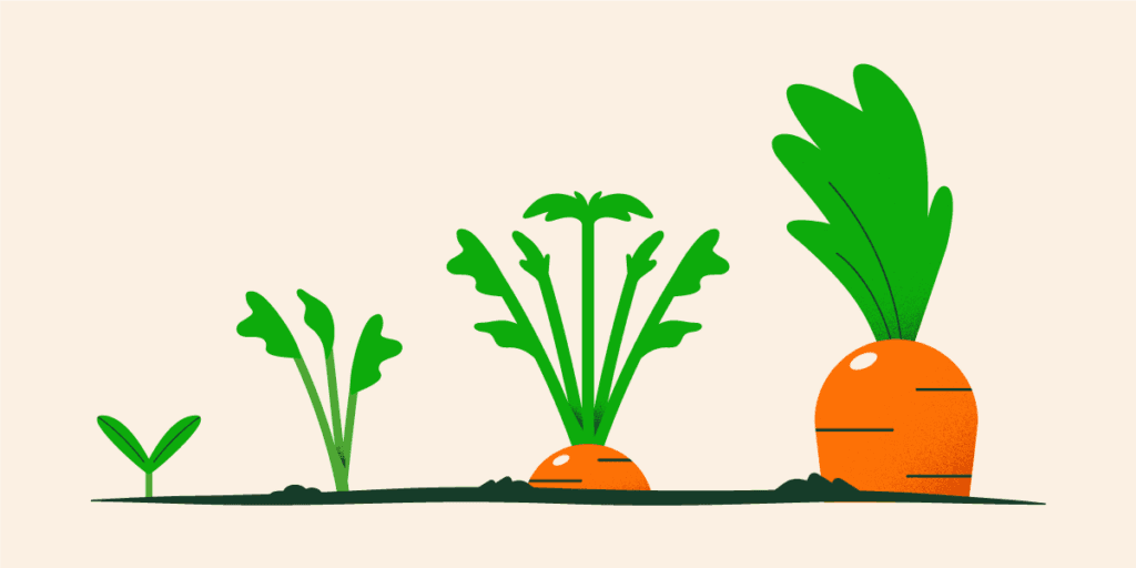 Carrots