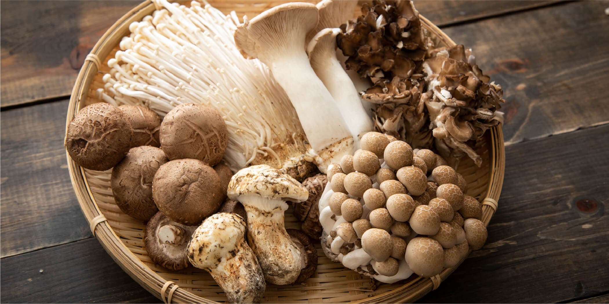 types-of-mushrooms-hero